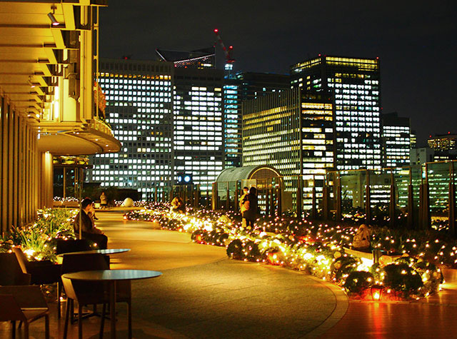 도쿄 미드타운 히비야 6층 옥상 정원