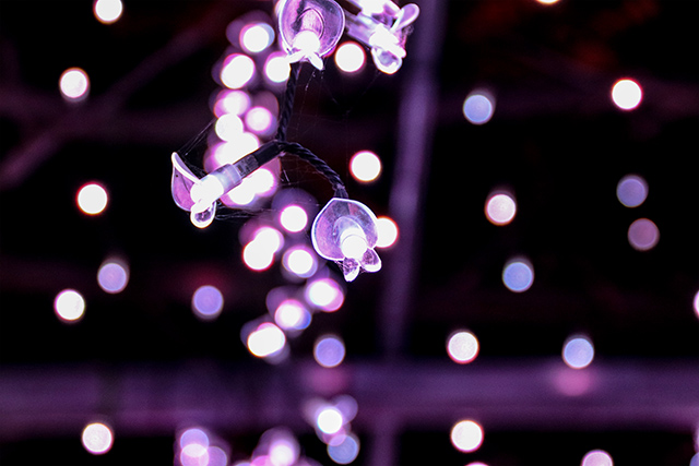 紫藤花造型的LED燈