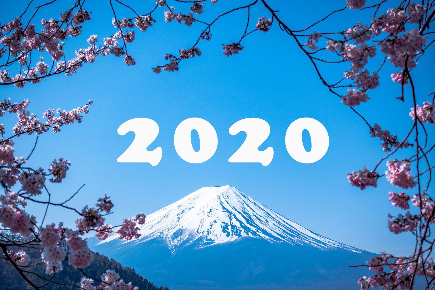 Reflecting Back the Trends of 2020 in Japan