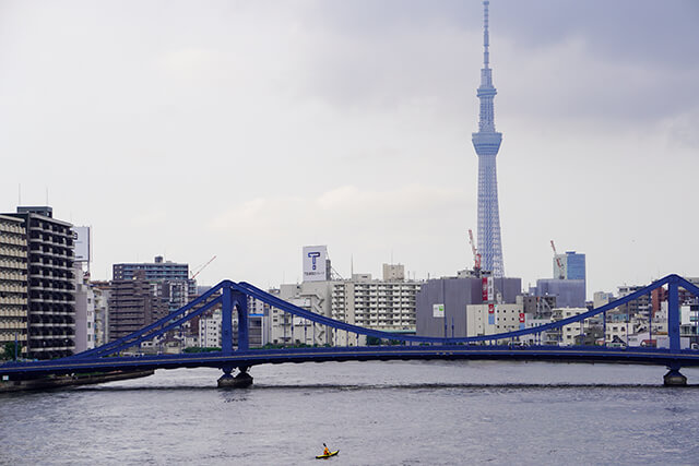 從隅田川大橋眺望的景色