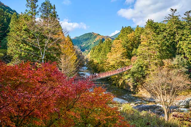 The Ishibune-bashi Bridge of the Akigawa Valley offers a truly breathtaking viewpoint for the autumn colours of Japan.
© Tokyo Convention＆Visitors Bureau