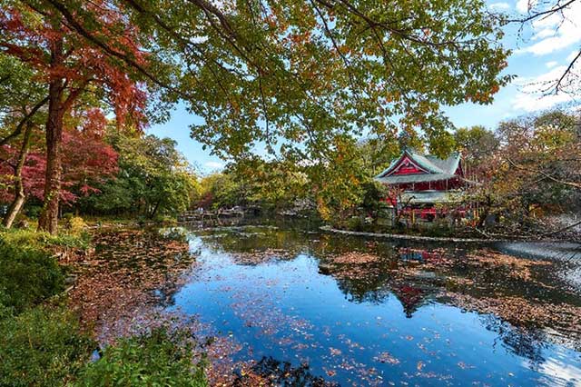 The Benzaiten Shrine atop Inokashira Pond adds a traditional element to the surrounding nature.
© Tokyo Convention＆Visitors Bureau