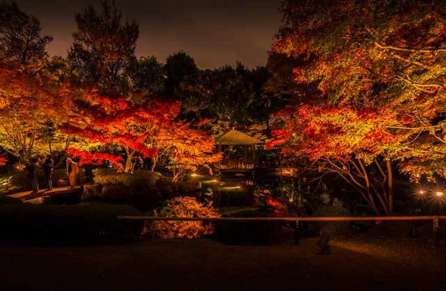 The night time illumination of Otaguro Park creates an array of colours impossible during the day time