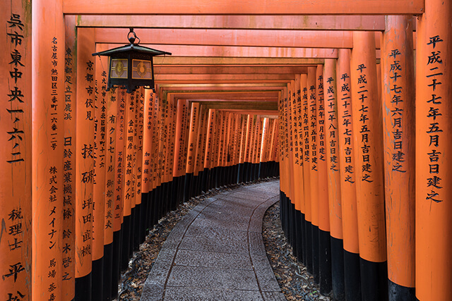 A tunnel of torii gate at Fushimi Inari Shrine in Kyoto
Basile Morin, CC BY-SA 4.0, via Wikimedia Commons