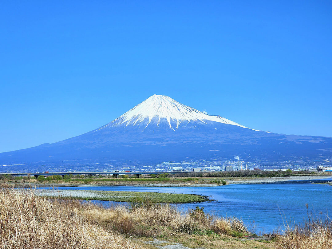 富士山/箱根周边景点魅力在此！享受一趟东京出发的一日游旅行吧！