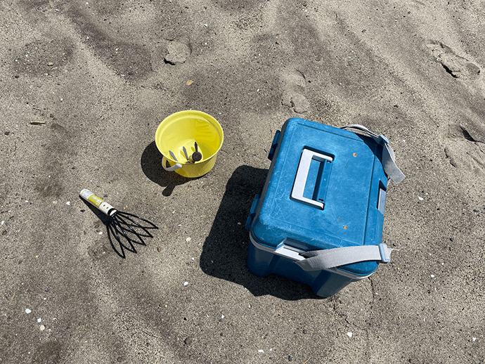 ClamDigging (Shiohigari) in Japan A Spring Tradition Japan Travel