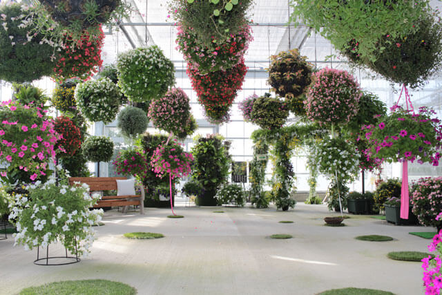 体感植物温室　スーパーファーム