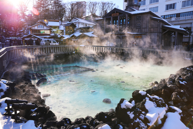 A Guide to Booking Japanese Ryokan: Understanding Pricing and the Best Seasonal Strategies