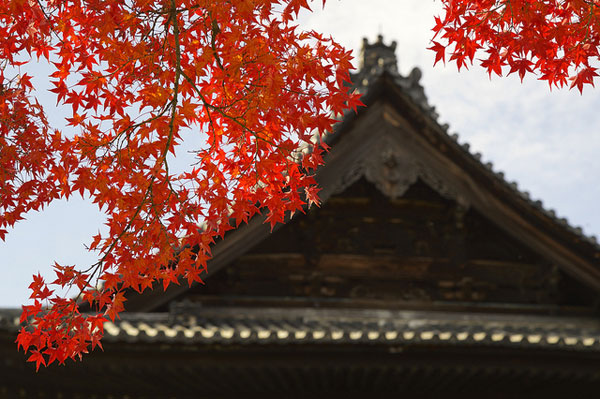 座禅体験ができる！京都最古の弾寺「建仁寺」 | NAVITIME Travel