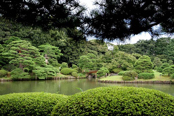「六義園」で日本の四季を感じよう！昼はまったり散歩、夜はライトアップで雰囲気満点！