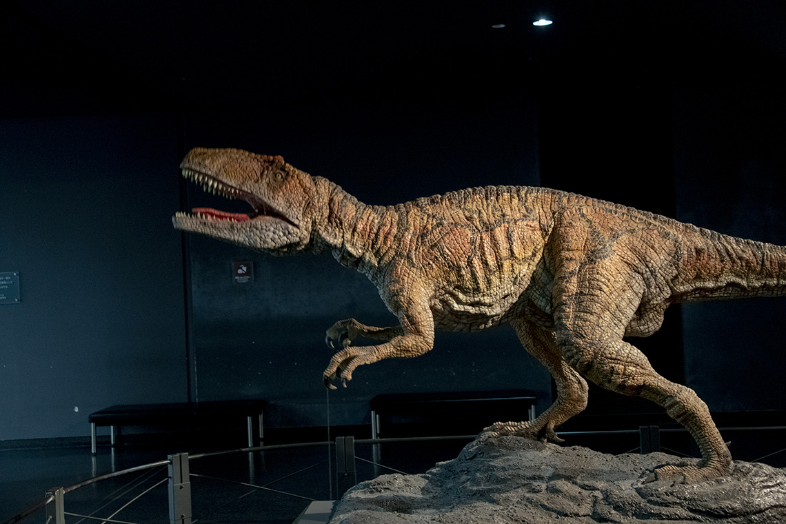 国内屈指の恐竜博物館「福井県立恐竜博物館」の「ここがすごい！」見どころ紹介
