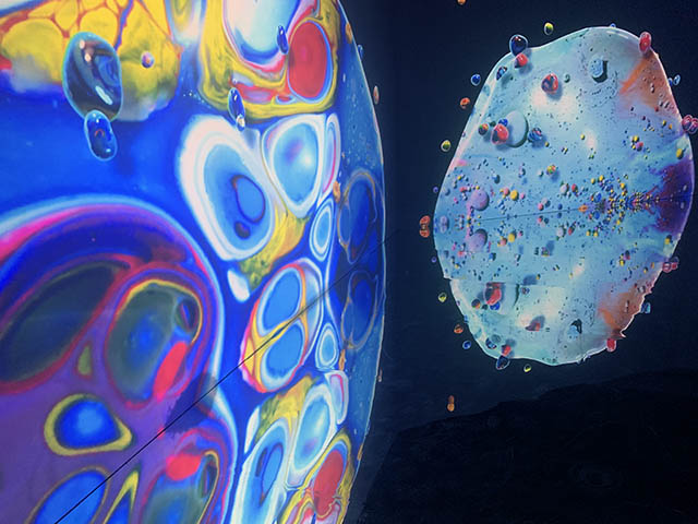 日本初上陸】「OCEAN BY NAKED 光の深海展」横浜の最新デジタルアート