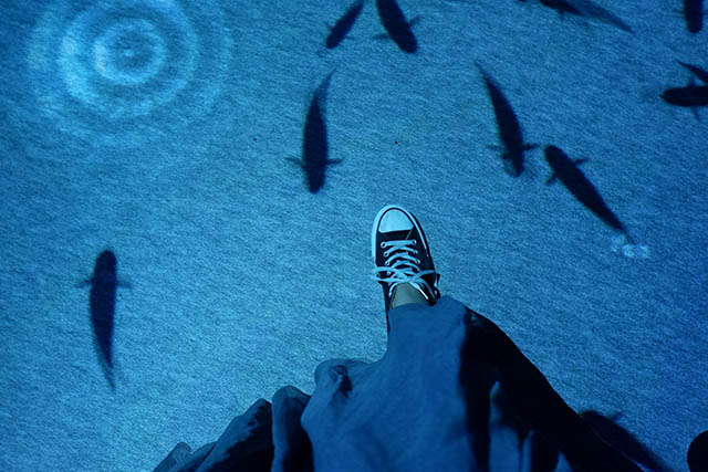 日本初上陸】「OCEAN BY NAKED 光の深海展」横浜の最新デジタルアート