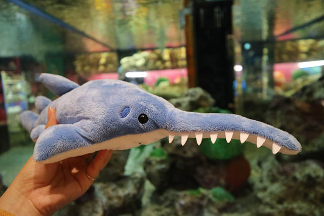 ノコギリエイ　ぬいぐるみ　マクセルアクアパーク品川 ノコギリエイ ぬいぐるみ マクセルアクアパーク品川