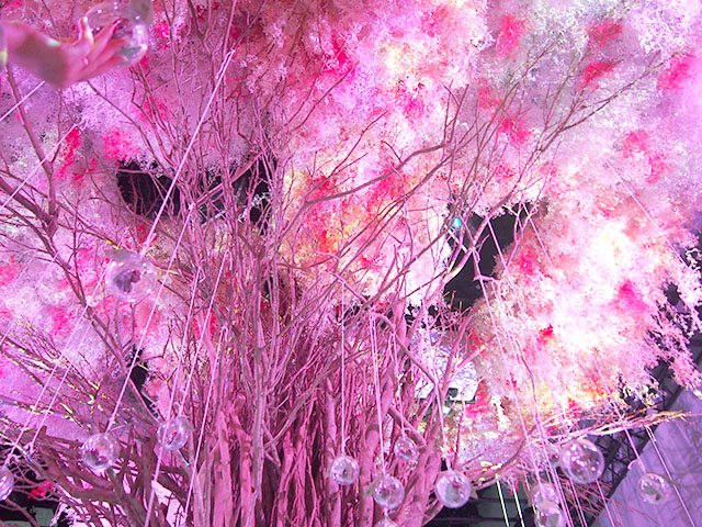 体験レポ】2020年「FLOWERS BY NAKED」最新デジタルお花見をしてきまし