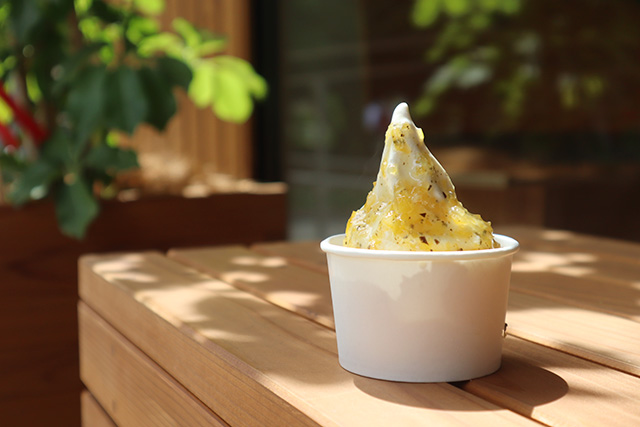 北海道ソフトクリーム　自家製はちみつレモンローズマリーソース　480円（税込）
