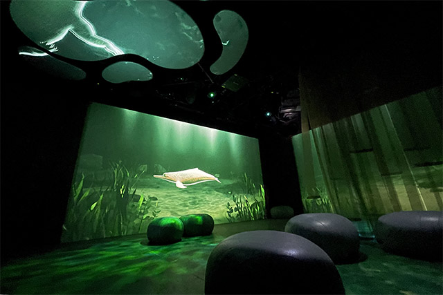 銀座】夏休みはここで決まり！「ZUKAN MUSEUM GINZA」は図鑑の世界に