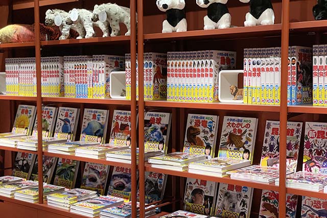 銀座】夏休みはここで決まり！「ZUKAN MUSEUM GINZA」は図鑑の世界に