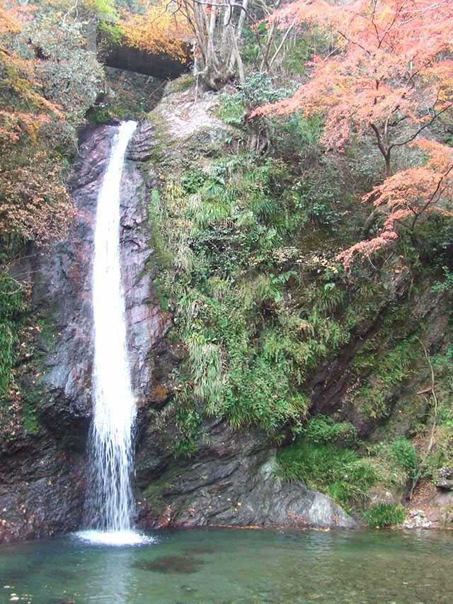 秋には紅葉に囲まれる「秩父華厳の滝」