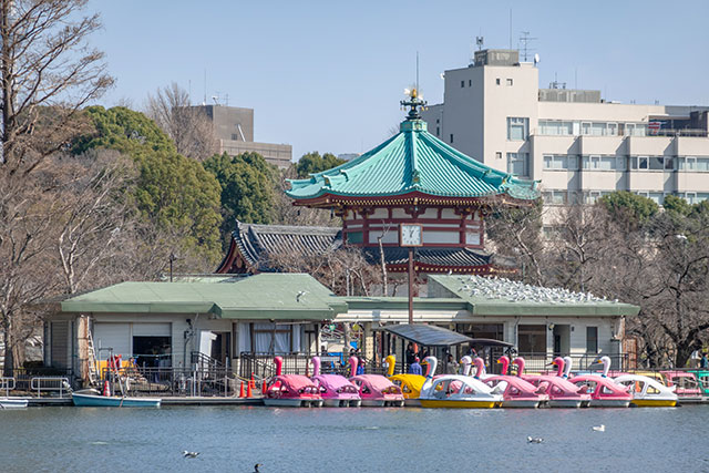 16 of the Best Things to Do in Ueno