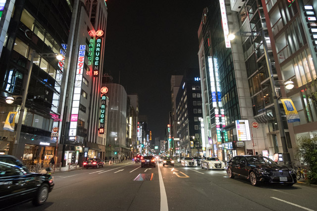 Ginza and Tsukiji-Area Nightlife
