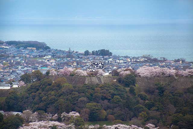 Hikone Overview