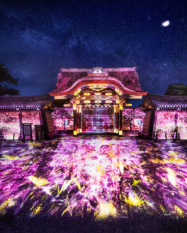 Sakura Illumination at Nijo Castle