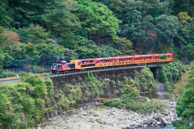 嵐山小火車和與保津川遊船之旅