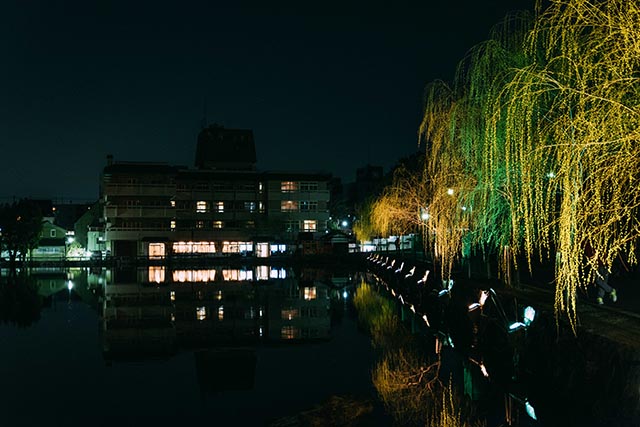 The streets of Nara