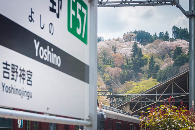 Getting Around in Yoshino