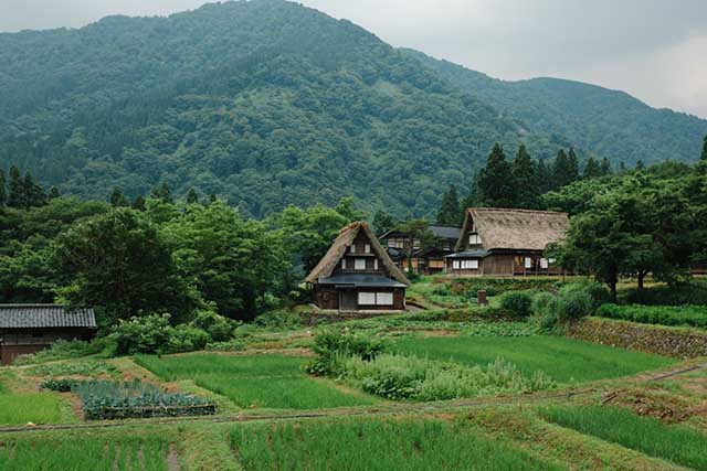 Toyama Overview