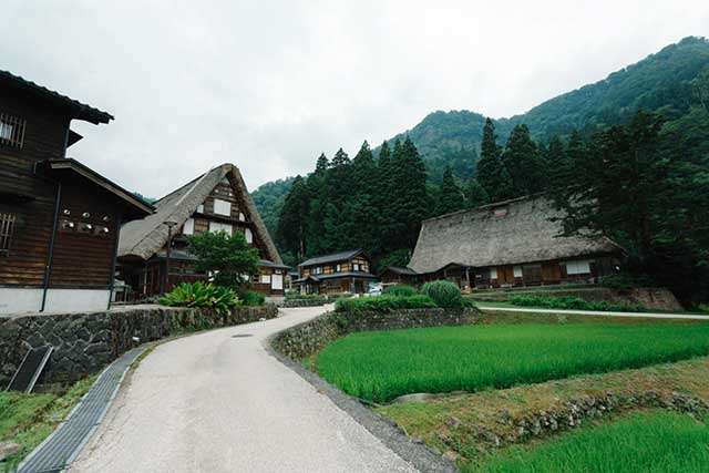 Visit the Thatched-roof Houses of Ainokura Village
