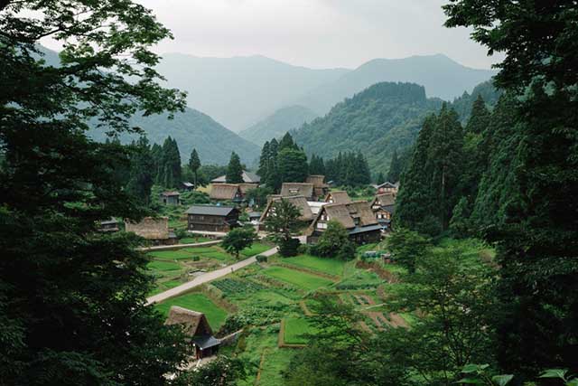 아이노쿠라 갓쇼즈쿠리 마을의 초가 지붕 가옥