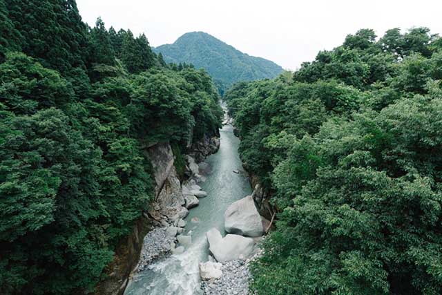 하쿠산 국립공원으로의 당일치기 여행