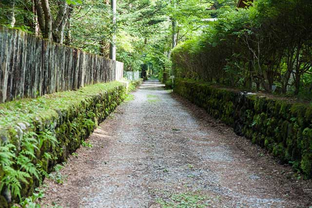 Nature Walks Around Karuizawa