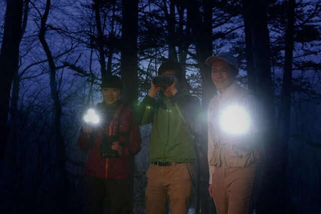 隨著「Picchio」人員在森林探險