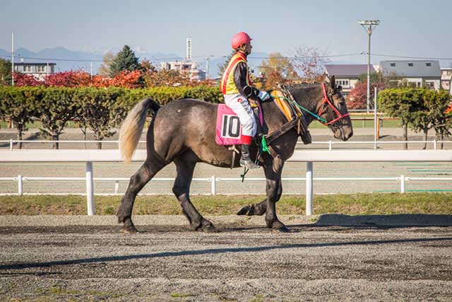 Obihiro Banei Horse Racing