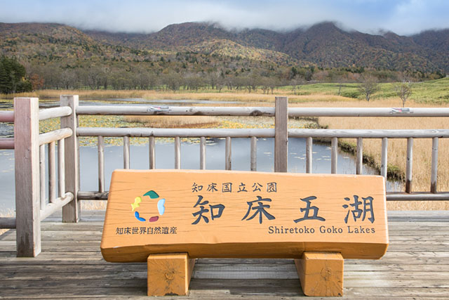 Discovering the Untouched Nature of Shiretoko National Park