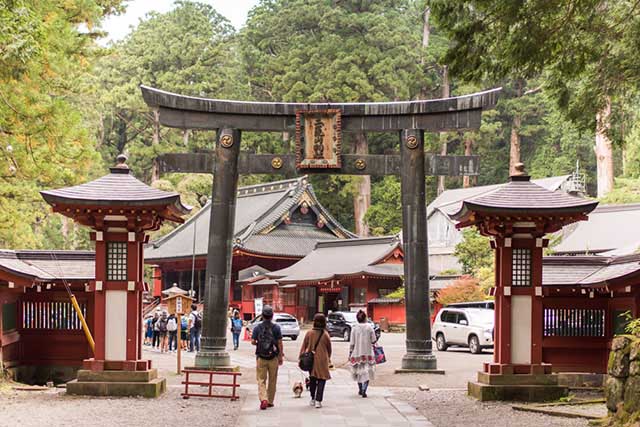 Nikko Overview