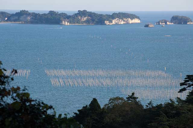 The Scenic Views of Matsushima