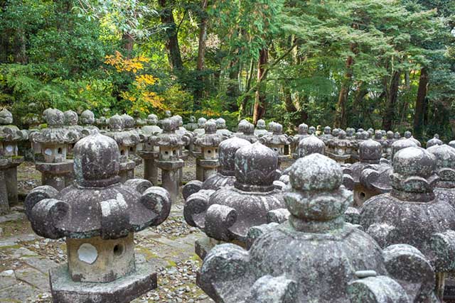 Hagi's Mystical Tokoji Temple