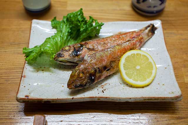 Kintaro fish