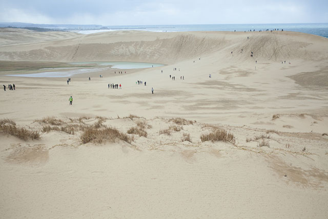 Sports, Art & Adventure at the Tottori Sand Dunes
