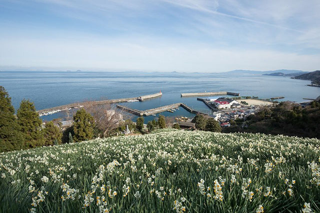 The Undiscovered Coastline of Western Shikoku