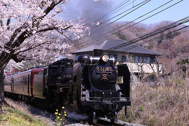Paleo Express steam locomotive