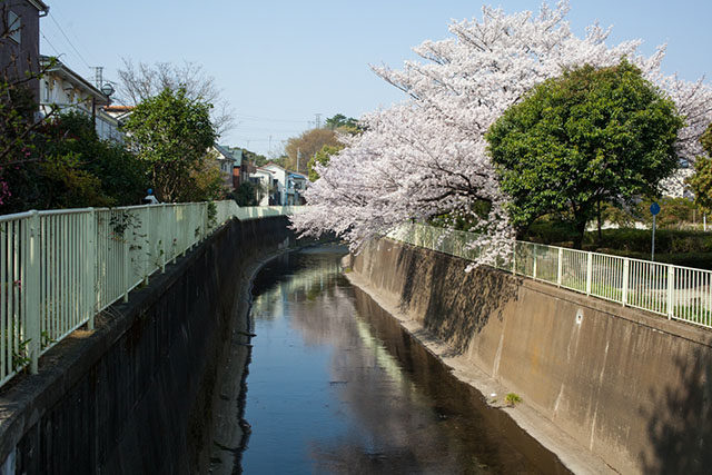 Cycle Loop Along Tokyo West Canals