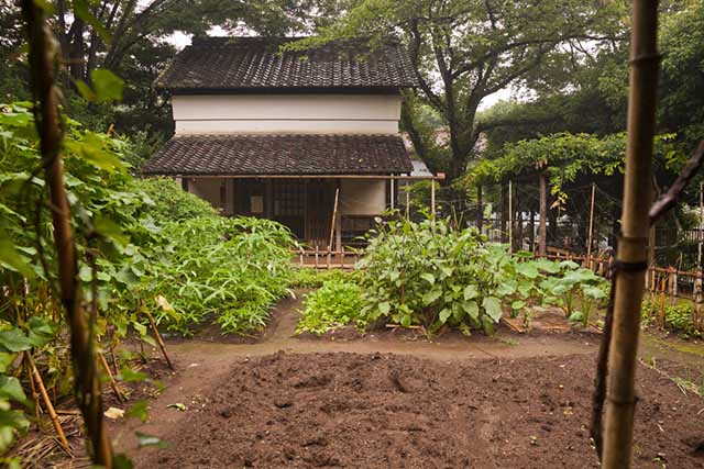 The Conserved Traditional Houses of Setagaya