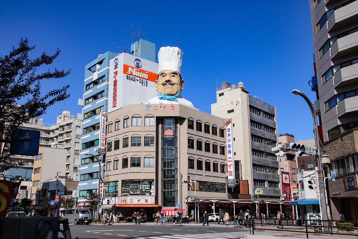 Walk Down the Kappabashi Street