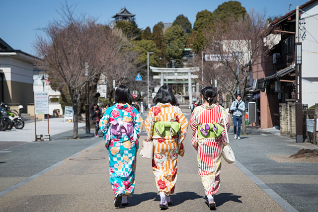 Inuyama Overview