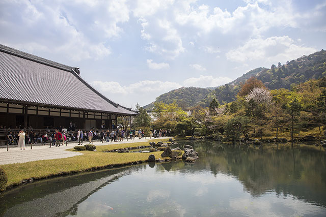 สำรวจ Tenryuji ของ Arashiyama